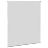 ZNTS Roller Blind Blackout Light Grey 135x175 cm Fabric Width 131.6 cm Polyester 4011421