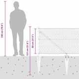 Welded Wire Fence with Spikes 25 x 0.8 m 3353232