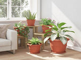 Plant Pots 24 pcs Brick Red 26 x 21.5 cm Plastic 3403281