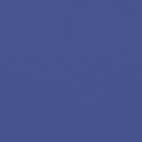 Retractable Side Awning Blue 140x1200 cm 318064