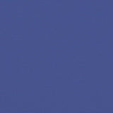 Retractable Side Awning Blue 160x1000 cm 4004731