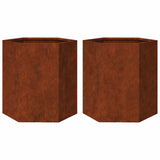 Garden Planters 2 pcs Hexagon 46x40x45 cm Weathering Steel 851121