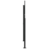 Retractable Side Awning Anthracite 180x1000 cm 4004748