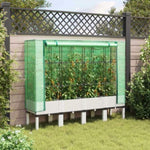 ZNTS Raised Bed with Greenhouse Cover Rattan Look 160x40x140 cm 4015849