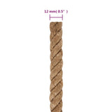 Jute Rope 50 m Long 12 mm Thick 153754