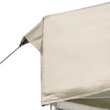 Professional Folding Party Tent with Walls Aluminium 6x3 m Cream 45506