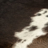 ZNTS Real Cow Hide Rug Black 150x170 cm 284341