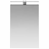 Bathroom Mirror Cabinet with Door Black Oak 40 x 10.5 x 60.5 cm 889032
