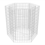 ZNTS Hexagonal Gabion Raised Bed 100x90x100 cm 142533