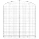 Arched Gabion Basket 200x50x200/220 cm Galvanised Iron 153480