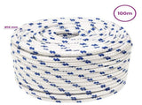 Multipurpose Utility Rope 14 mm 100 m White and Blue PP 3473138