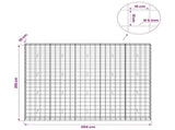 Gabion with 5 mm Wire and 10x10 cm Mesh 250x30x200 cm 3465167