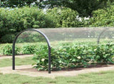 Plant Cover with Eyelets 2x4 m PVC 3308717