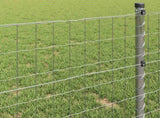 Euro Fence 1 x 10 m PVC-coated iron 42004637