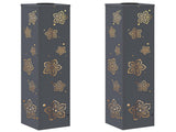 Solar LED Pathway Light 2 pcs Anthracite Cold Rolled Steel 879746