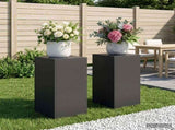 Plant Stand 2 pcs Black 30 x 30 x 60 cm Steel 8012475