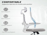 Mesh Back Office Chair, with Lumbar Support - Grey T3398P425008
