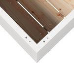Garden Planter White 70x40x72.5 cm Solid Wood Pine 3282590