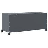 TV Cabinet Anthracite 100.5x39x43.5 cm Steel 846664