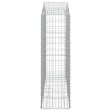Arched Gabion Basket 200x50x160/180 cm Galvanised Iron 153398