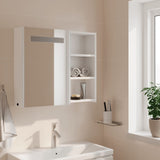 Bathroom Mirror Cabinet with LED Light White 60x13x52 cm 357969