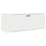 Wall Shoe Cabinet White 100x35x38 cm Engineered Wood 821020