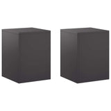 Plant Stand 2 pcs Black 30 x 30 x 40 cm Steel 8012461
