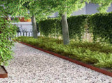 Lawn Edging 4 pcs Rusty 450 x 0.05 x 10 cm Weathering Steel 868021