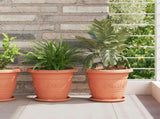 Plant Pots 24 pcs Brick Red 26 x 21.5 cm Plastic 3403281