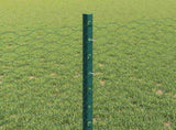 Welded Wire Fence 10 x 0.8 m PVC-Coated Steel Green 3336677