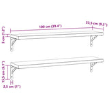 Wall Shelves 2 pcs 100x23.5 cm Silver Stainless Steel 3214504