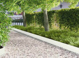Lawn Edging 10 pcs 103 x 20 cm Steel White 8008374