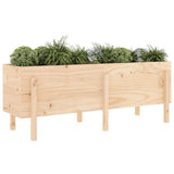 Garden Raised Bed 160x50x57 cm Solid Wood Pine 825219