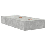 Storage Bed Frame Concrete Grey 100 x 200 cm Engineered Wood 3335352