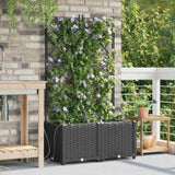 Garden Planter 2 pcs Black 80 x 40 x 142 cm PP 42002851