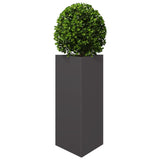 ZNTS Garden Planter Black Triangular 40x34.5x70 cm Steel 851157