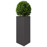 Garden Planter Black Triangular 40x34.5x75 cm Steel 851157