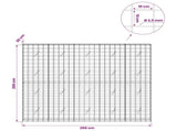 Gabion with 3.5 mm Wire and 10x10 cm Mesh 250x20x200 cm 3463151