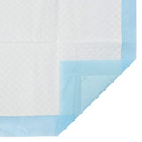 Non-woven Fabric Pet Training Pad 400 pcs Blue and White 42025323