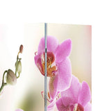 ZNTS Folding Room Divider 160x170 cm Flower 240477