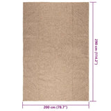 Rug ZIZUR 200x290 cm Jute Look Indoor and Outdoor 364842