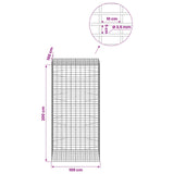 Gabion with 3.5 mm Wire and 5x10 cm Mesh 100x100x200 cm 3462956
