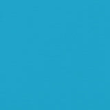 Pet Bike Trailer Blue and Black Oxford Fabric and Iron 93995