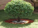 suitable for Flat Tree Ring Rusty 30/60 cm 873674