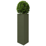 Garden Planters 2 pcs Olive Green Triangular 30x26x75 cm Steel 851150