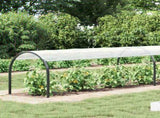 Plant Cover Transparent 20 x 1.5 m PE 3429301