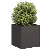 Planter Black 40x40x40 cm Cold-rolled Steel 860661
