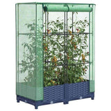 Raised Bed with Greenhouse Cover Rattan Look 80x40x123 cm 4015824