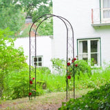 ZNTS Nature Garden Arch Metal 100x37x230cm Black 434651