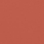 ZNTS Retractable Side Awning Terracotta 200x600 cm 4004558